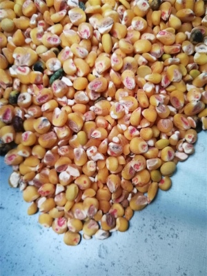 去麻豆资源在线观看藥種子包衣外皮去皮機